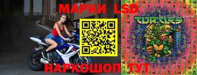 индика Будённовск