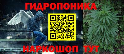 индика Будённовск