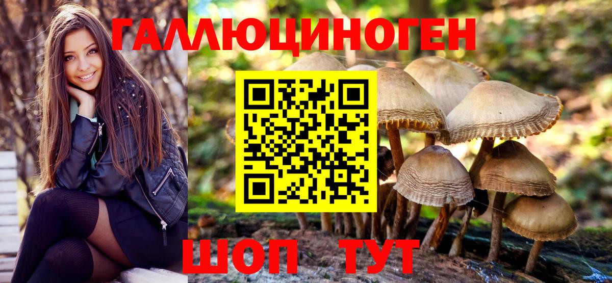 Кузнецк  Псилоцибиновые грибы Psilocybe  Вход с VPN  закладки  Псилоцибиновые грибы Cubensis 