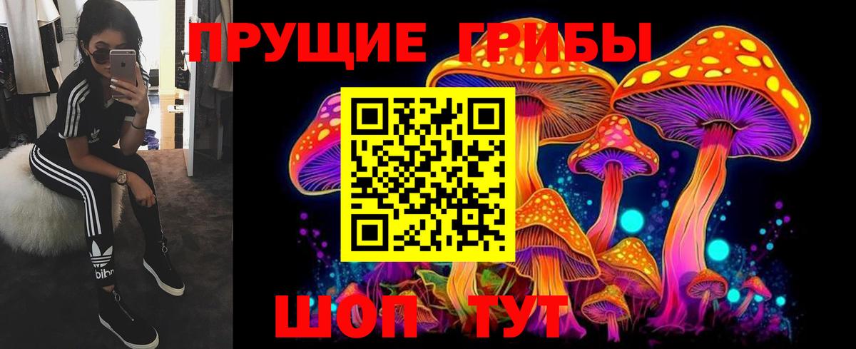 Галлюциногенные грибы Cubensis Кузнецк